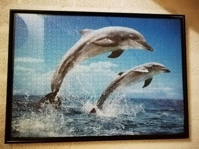 Dolphin : 13 Steps (with Pictures) - Instructables