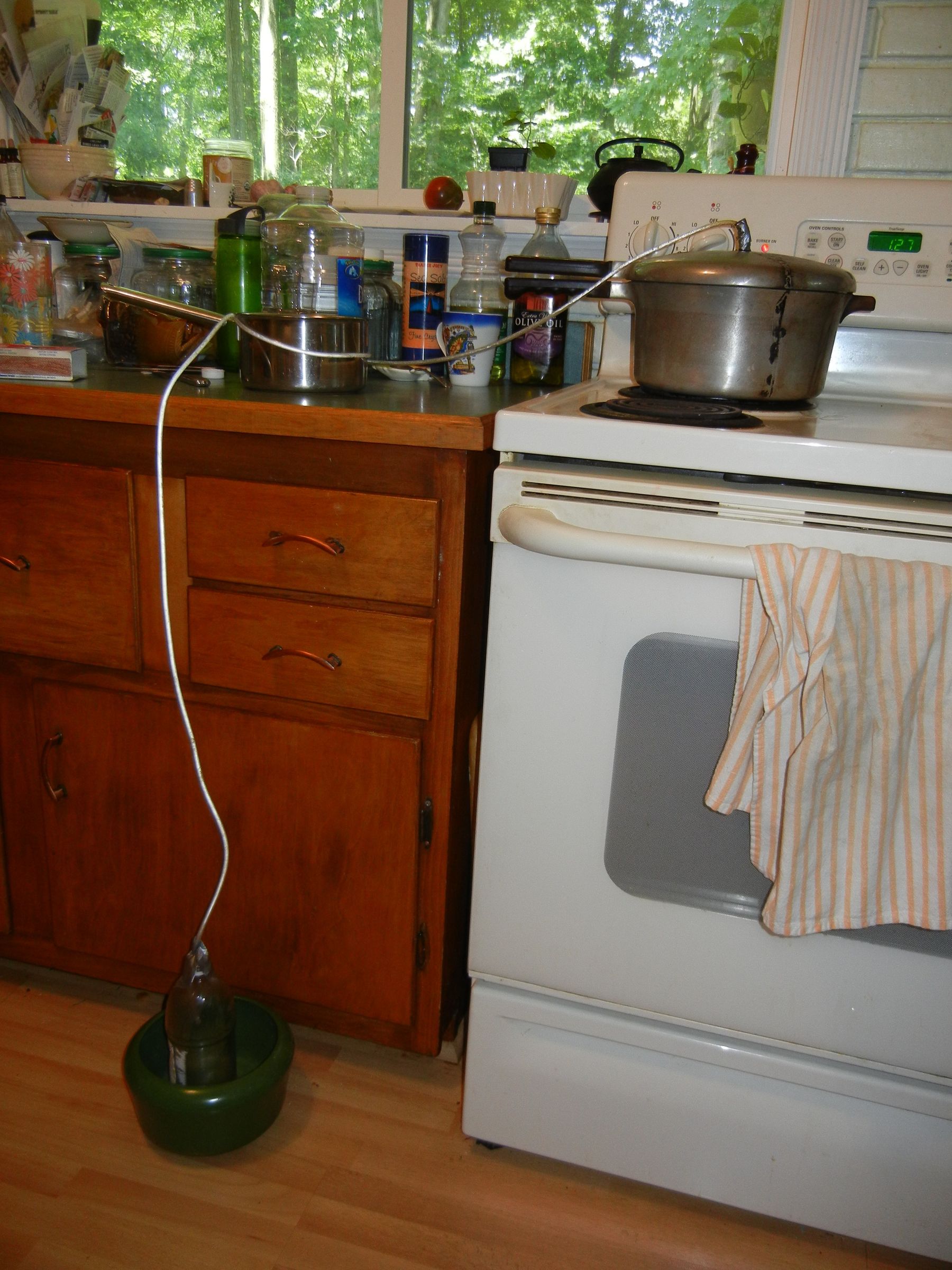 Make Sugar-Based Alcohol/ Ethanol