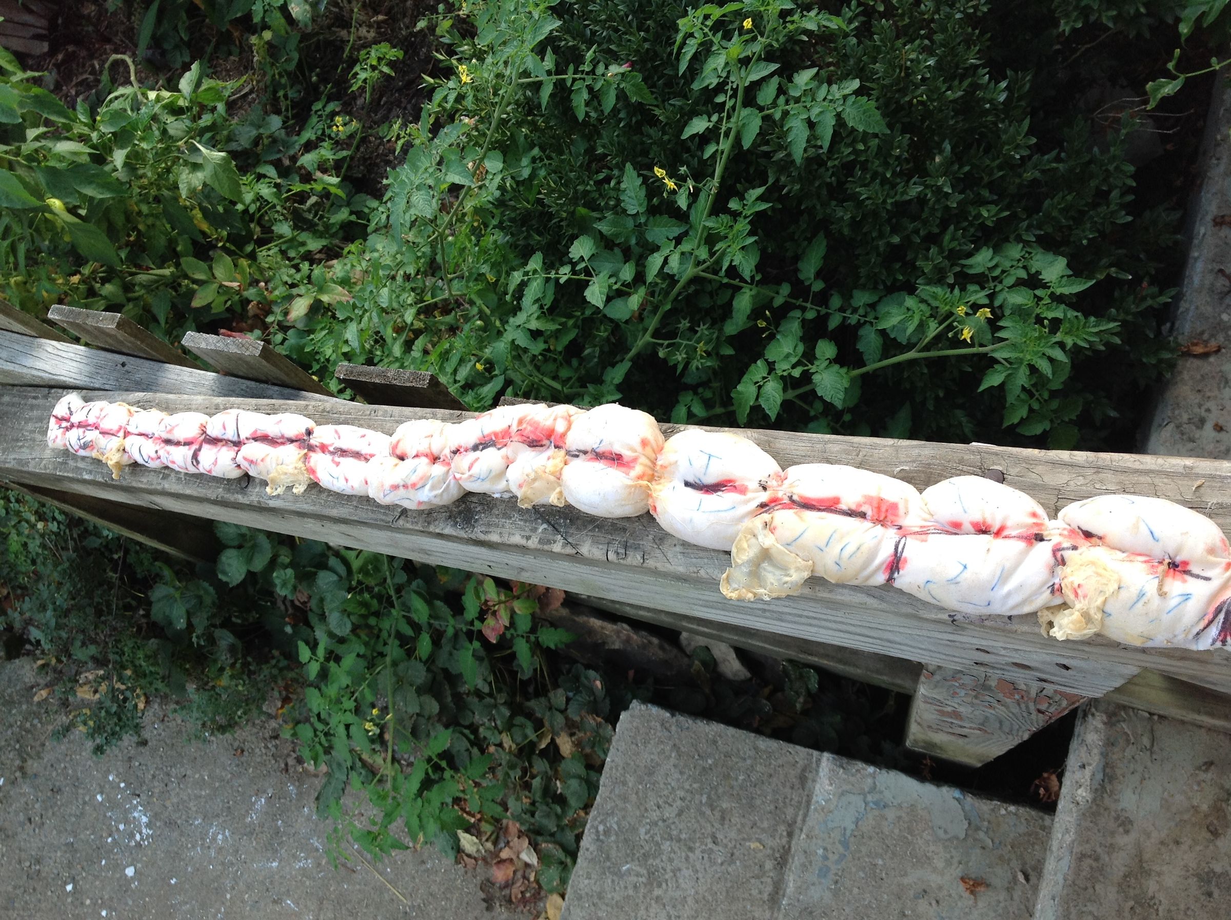 Fake Intestines 7 Steps (with Pictures) Instructables