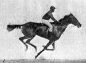 Create the Scratch Code