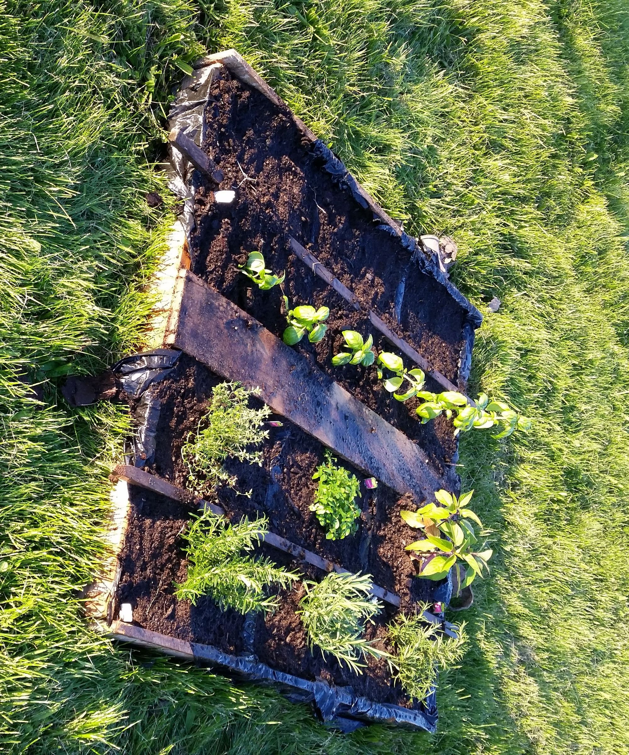 How to Make Your Own Pallet Garden
