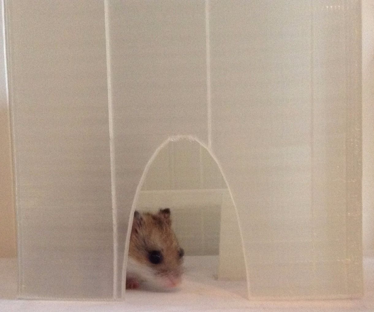 3D Printable Hamster House