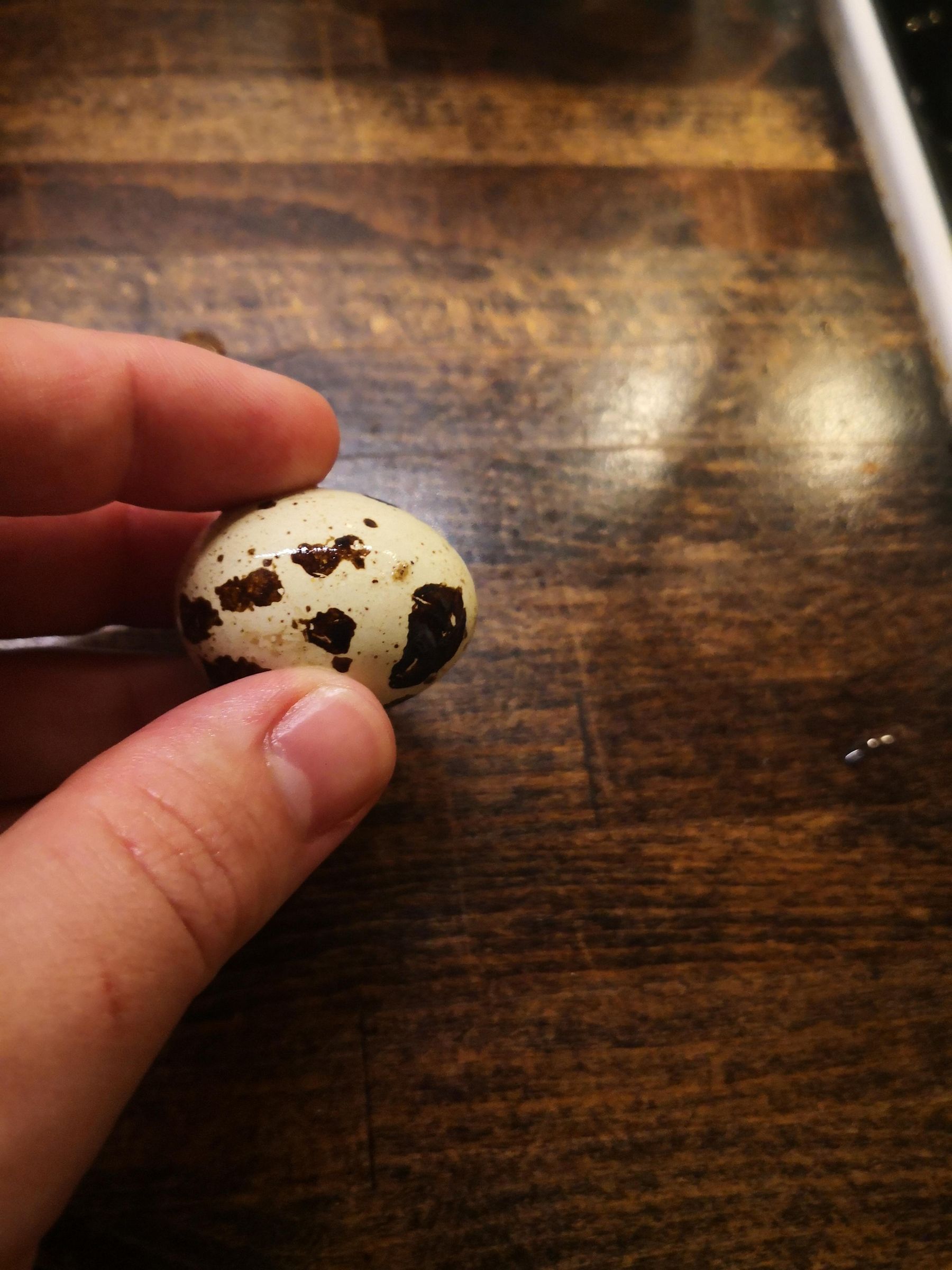 Marinated Soft Boiled Quail Eggs 3 Steps (with Pictures) Instructables