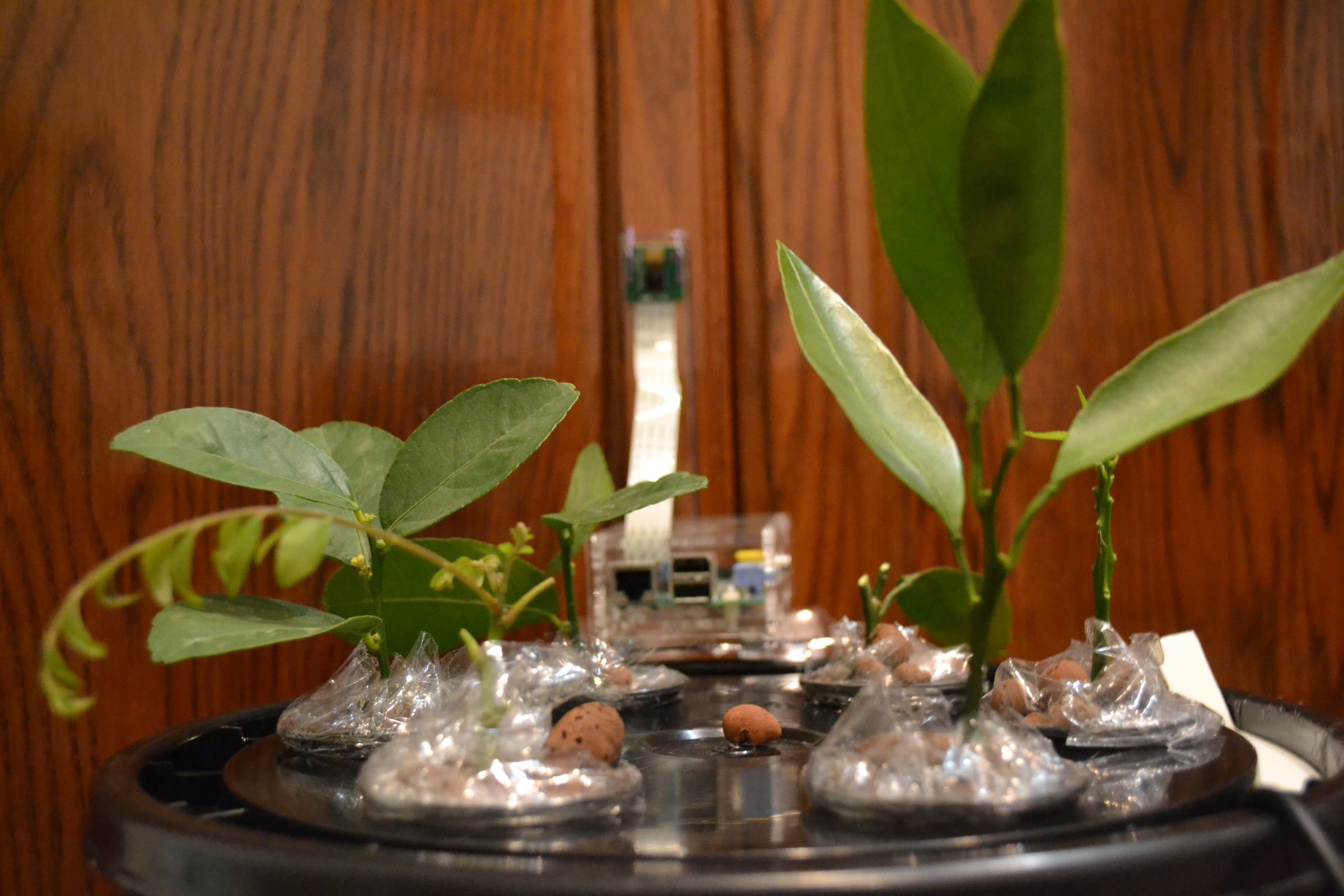 Automated Aeroponics System Using Raspberry Pi