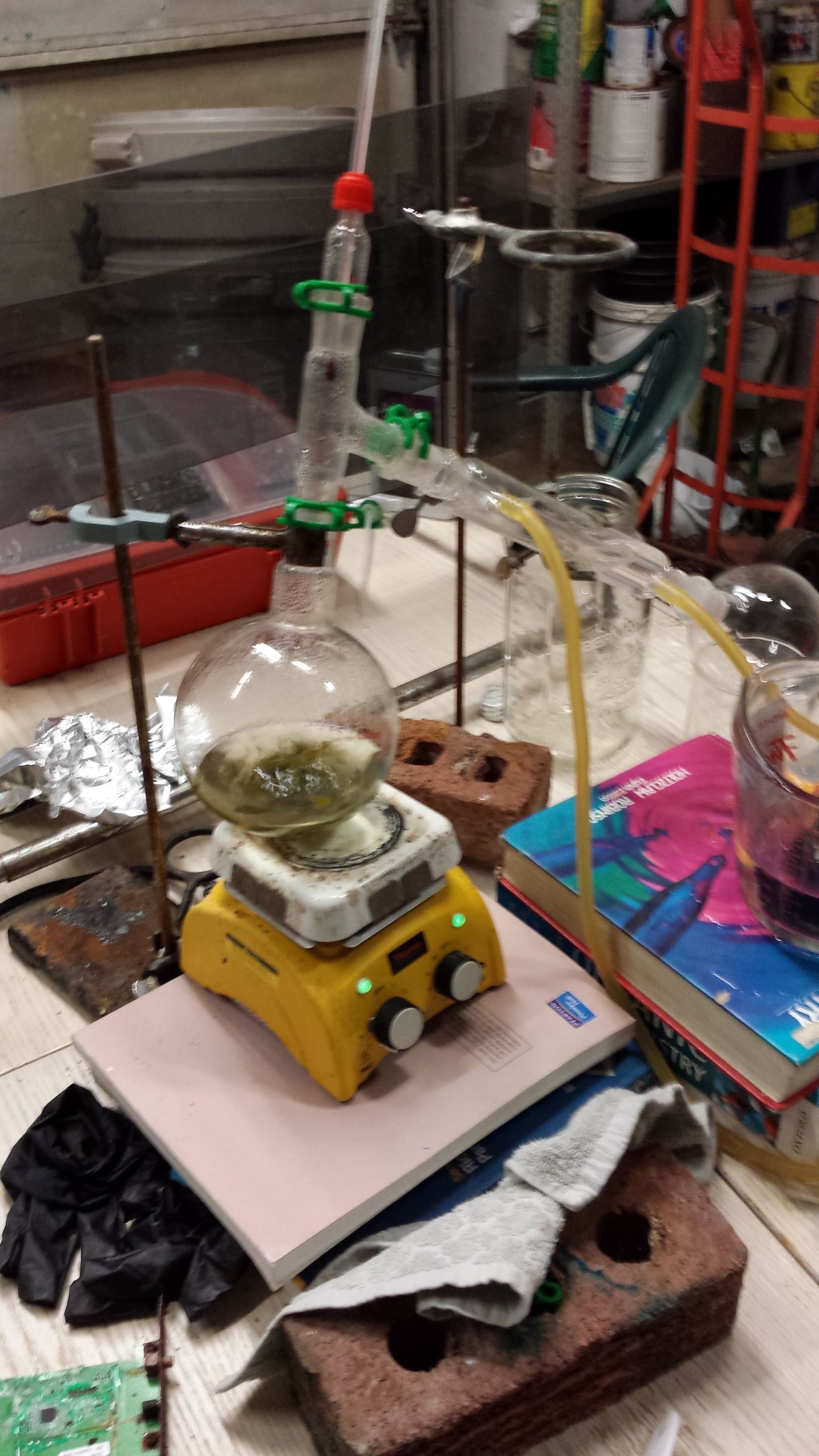 DIY Kitty Crack:  Ultra-potent Catnip Extract