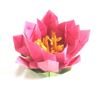 Lift the Second Round of Petals 