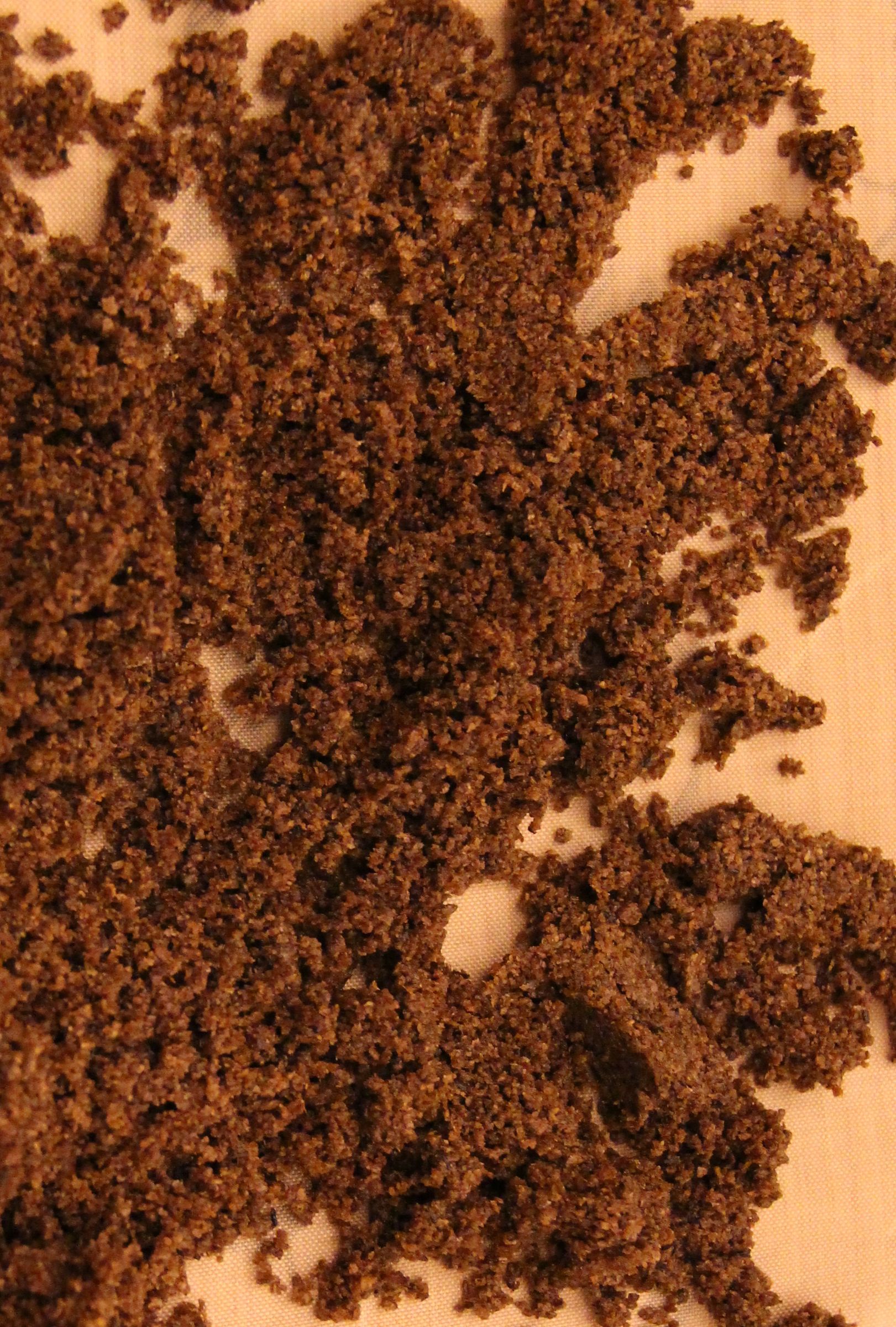 Mealworm Flour : 4 Steps (with Pictures) - Instructables