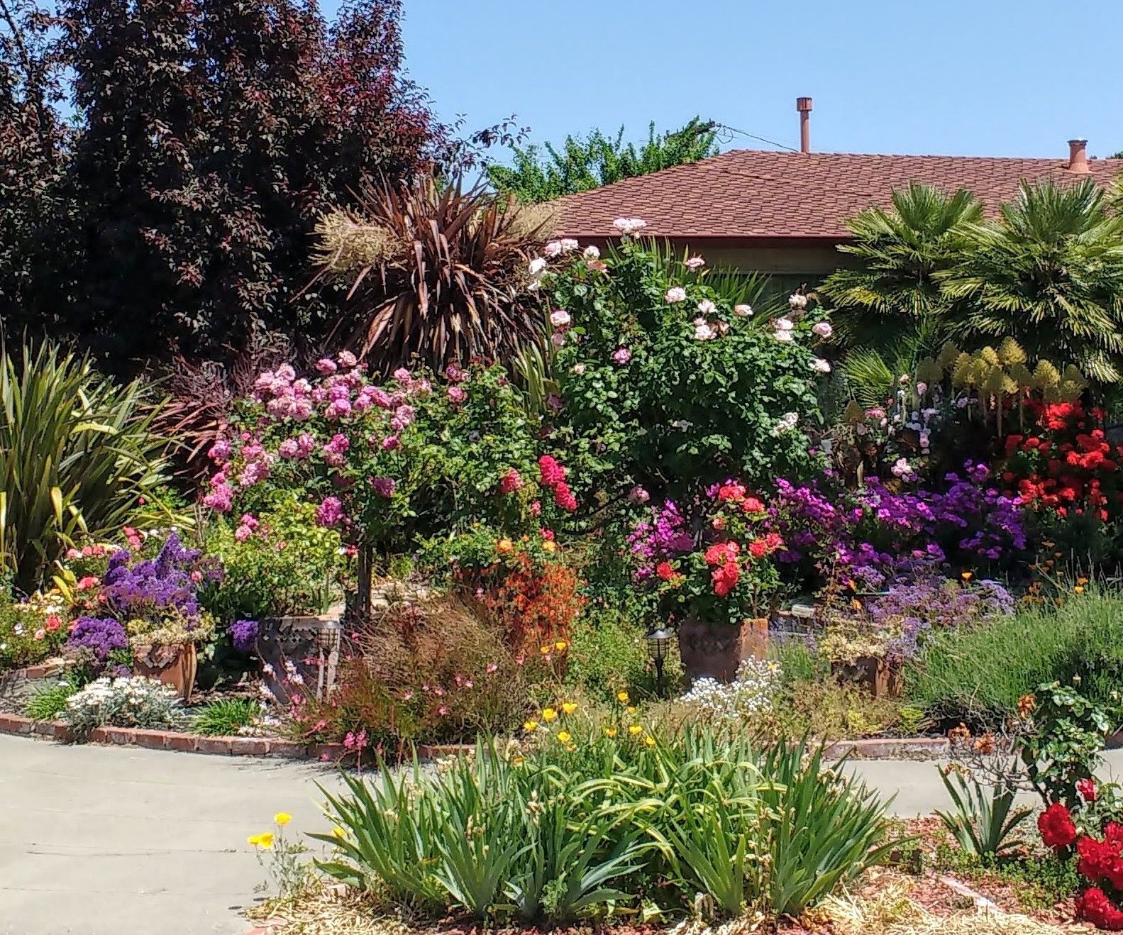 Turn Weed(s) Into Feed