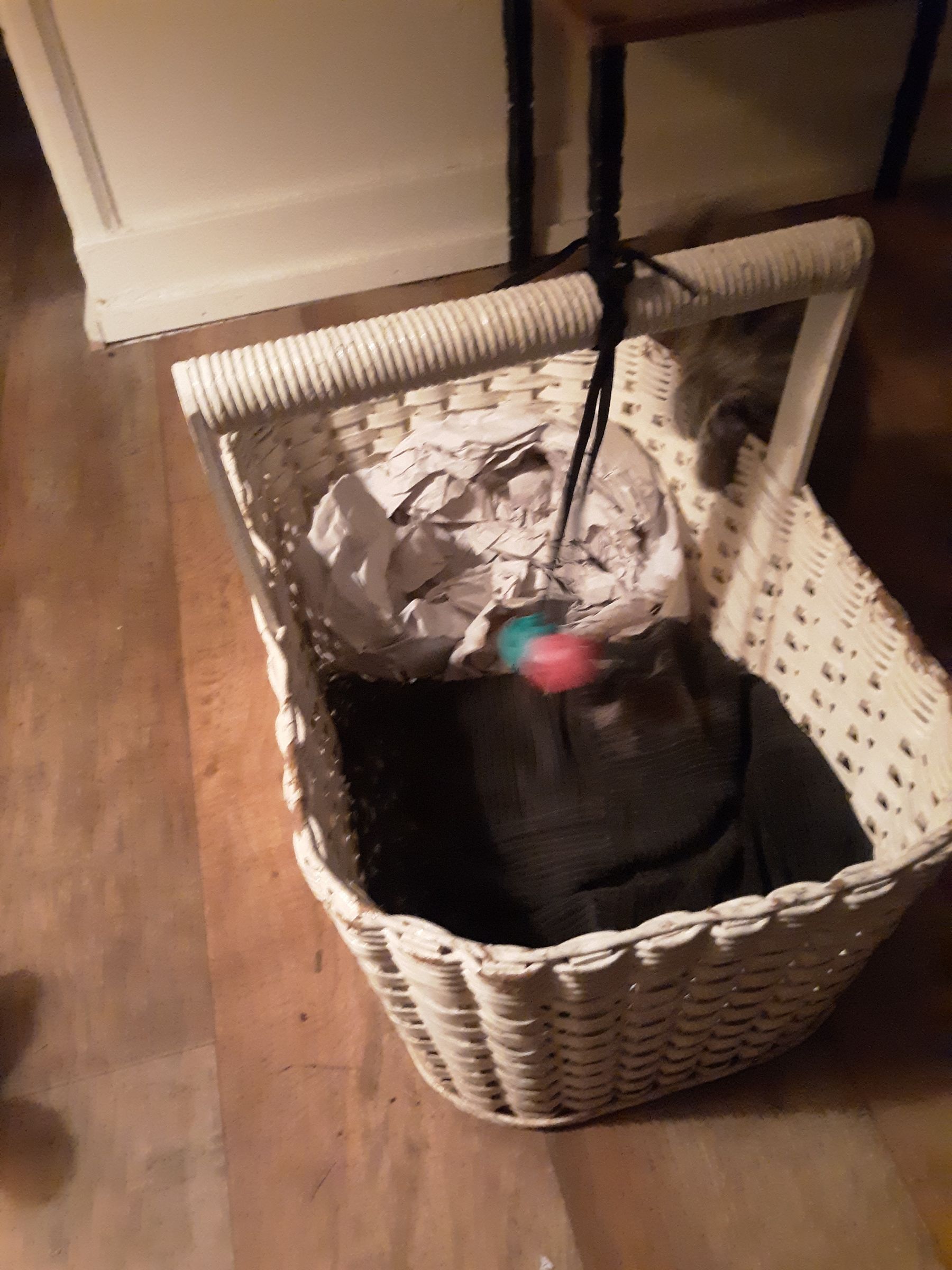 How to Make a Simple Cat Bed in an Old Basket 5 Steps Instructables