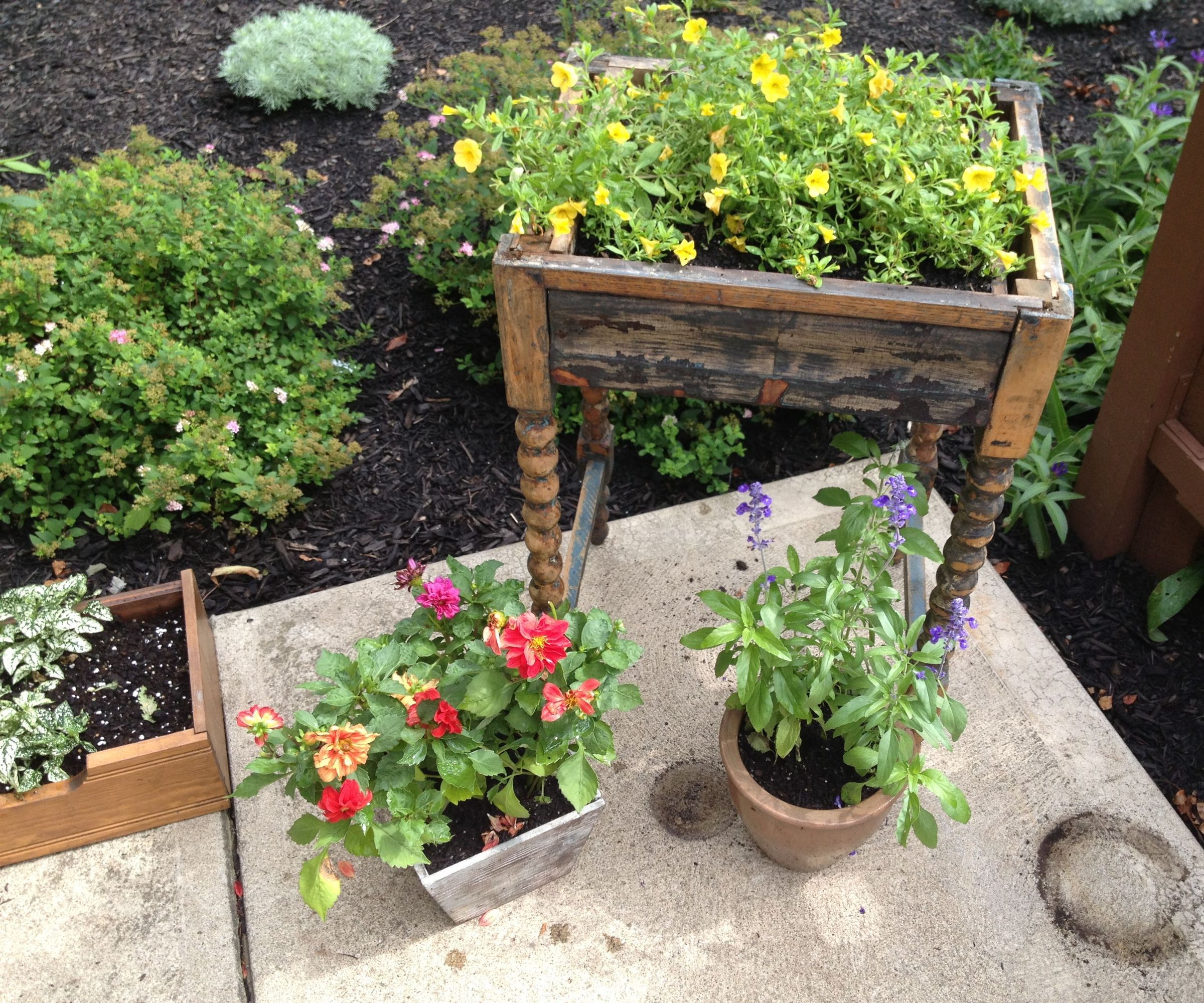 How Does Mulch Effect Weed Plant Density Compared to a Location With No Mulch?