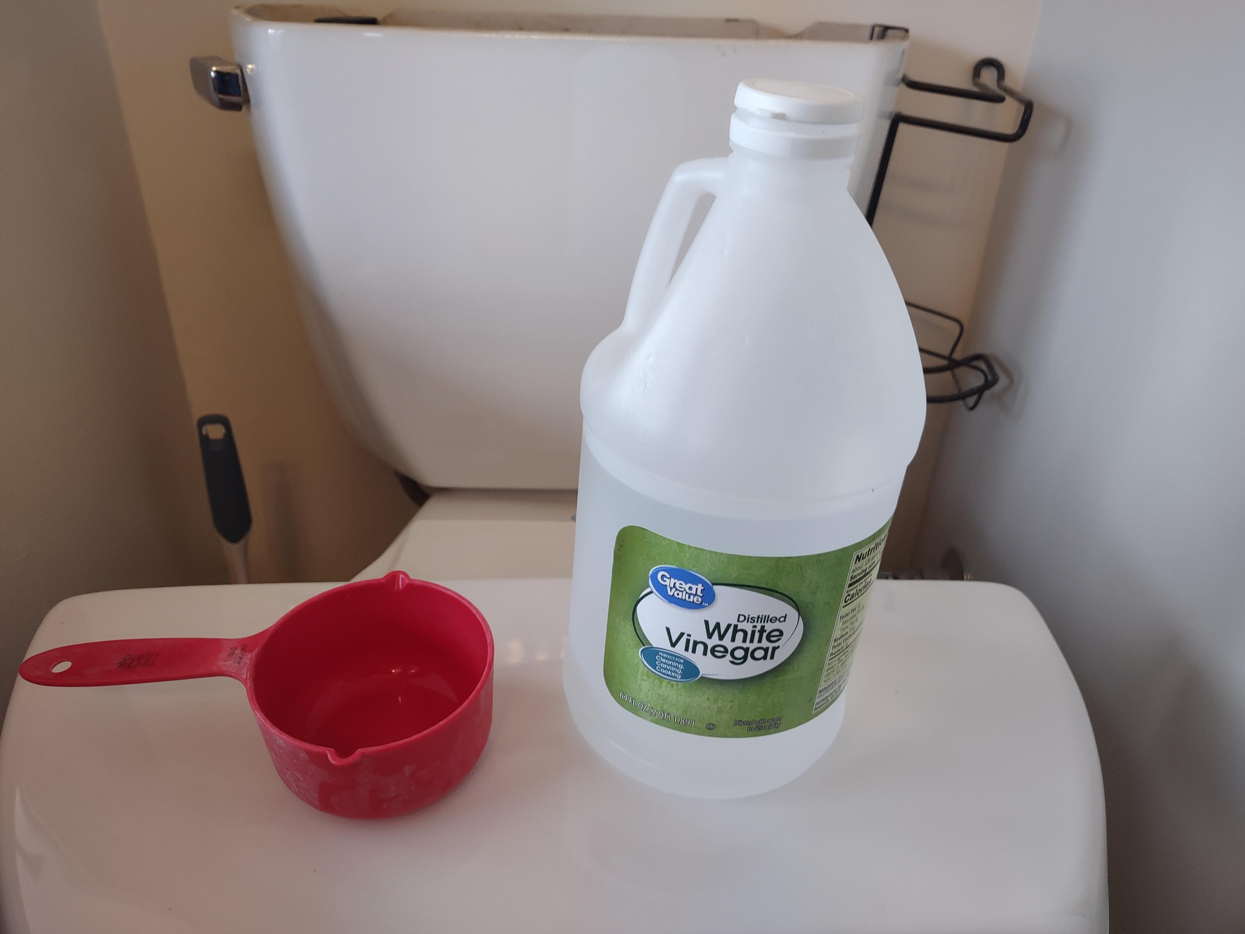 Fix a Toilet Tank Loose Handle, Discolored Water, and High Water Level