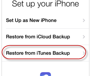 Transfer Data From Old IPhone to New IPhone 6