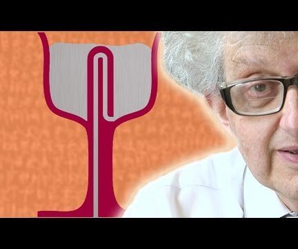 Pythagoras Cylinder with Sketchup to STL