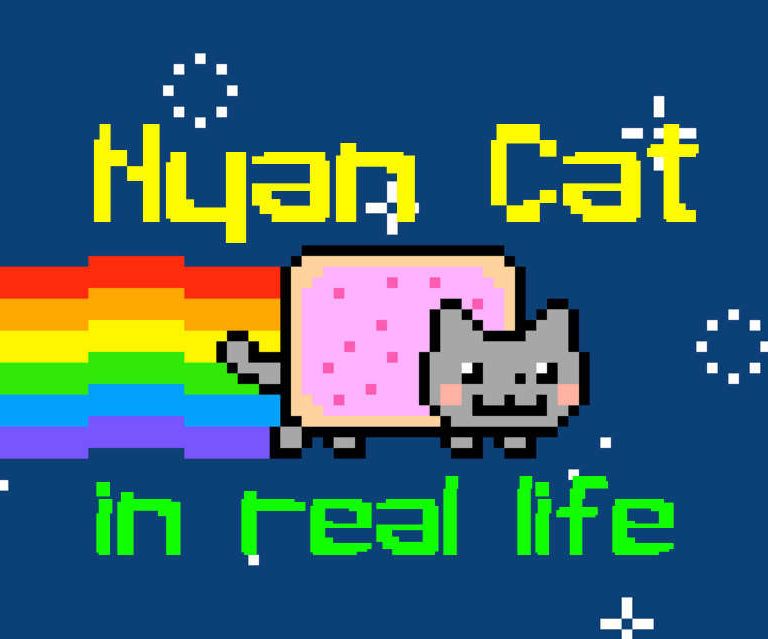 Nyan Cat in Real Life