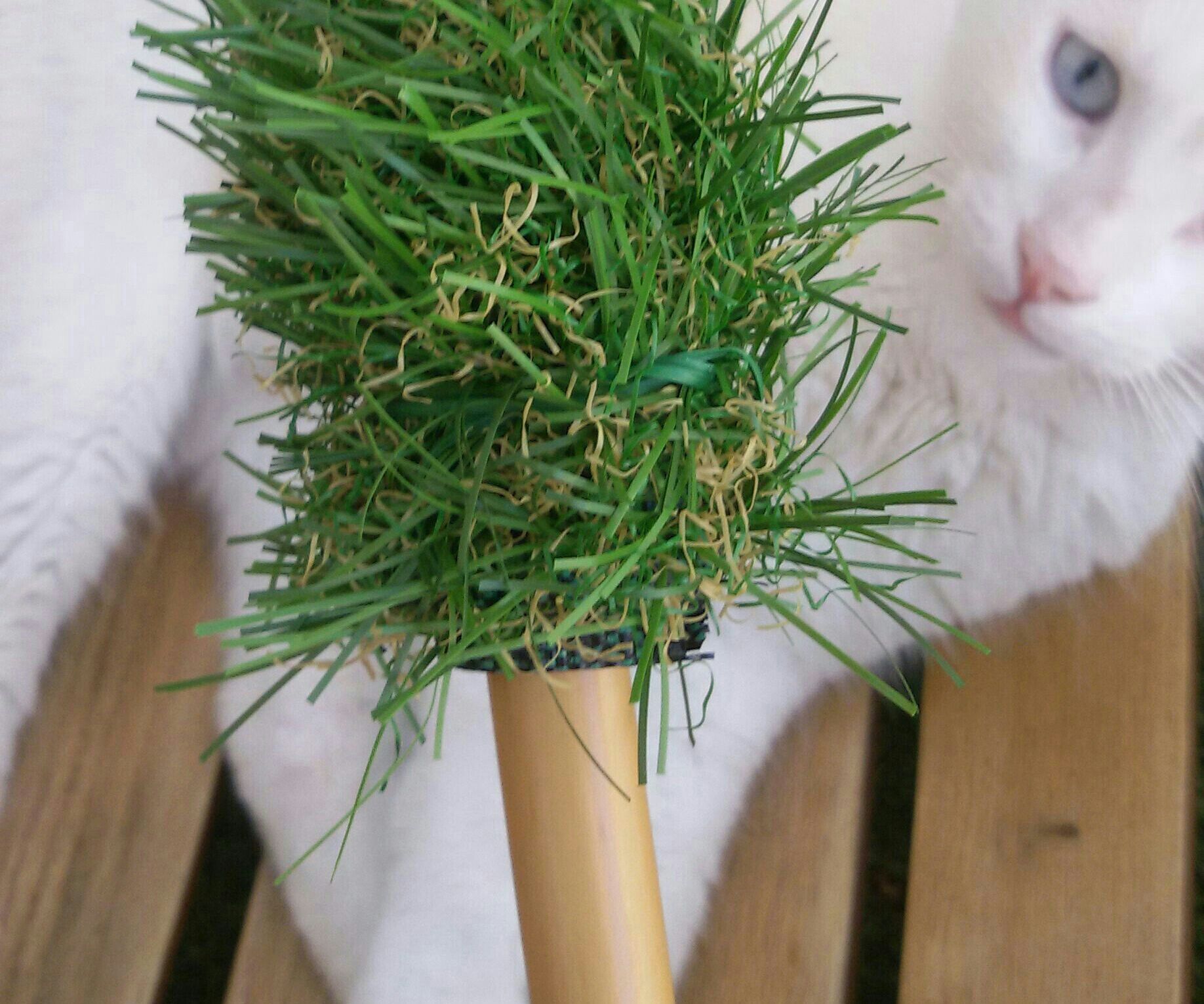 Nature's Toilet Brush