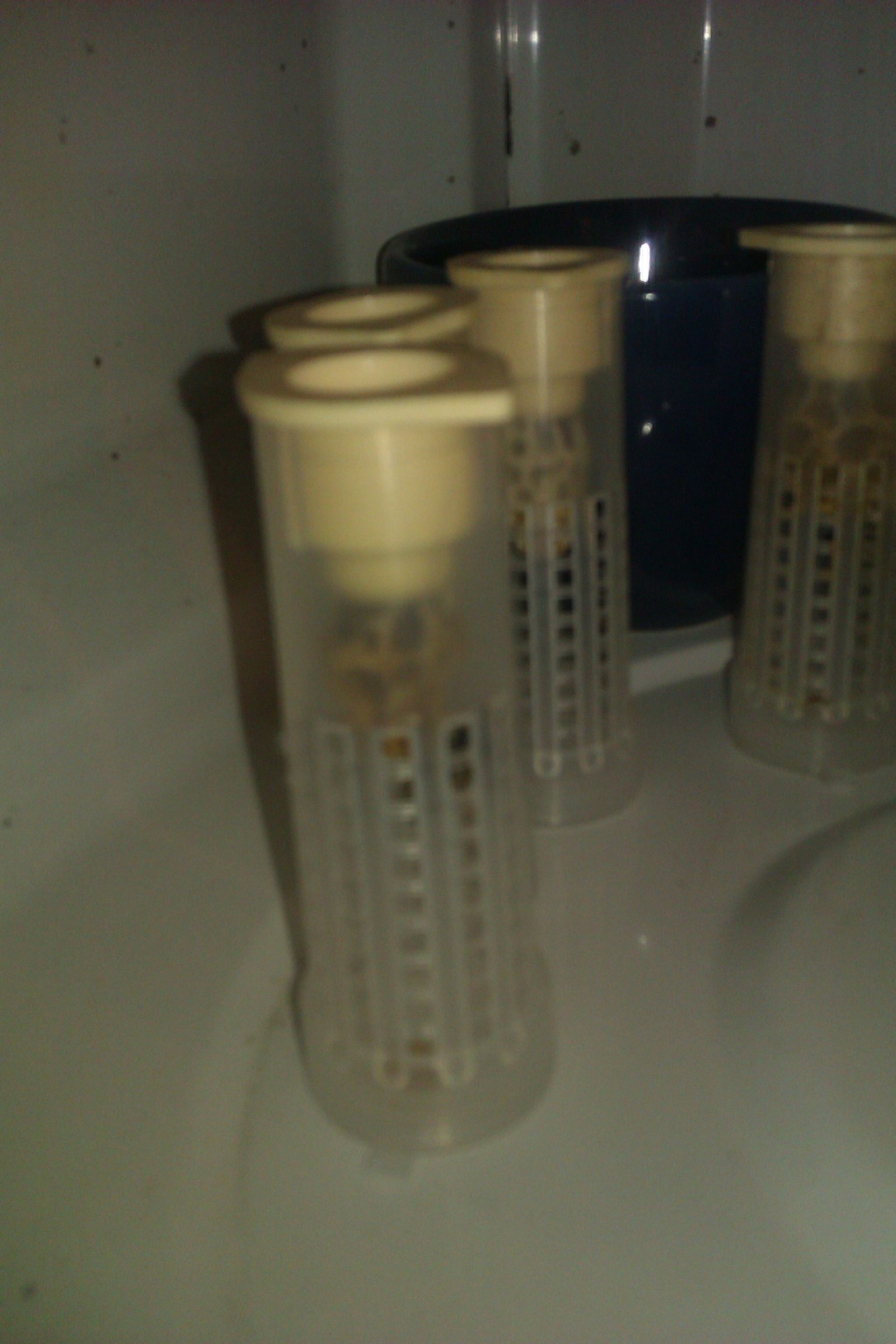 Queen Bee Incubator 4 Steps Instructables