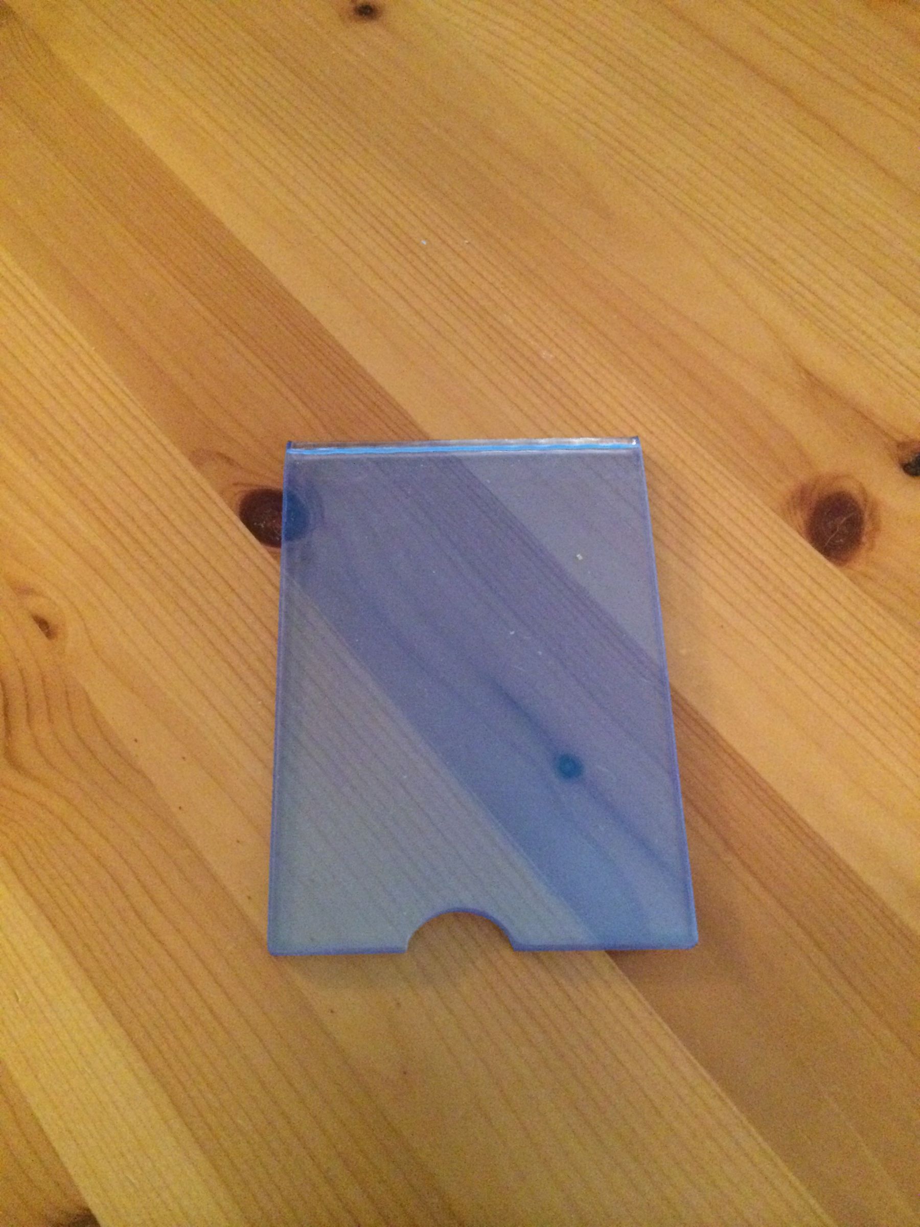 Pass or Money Holder