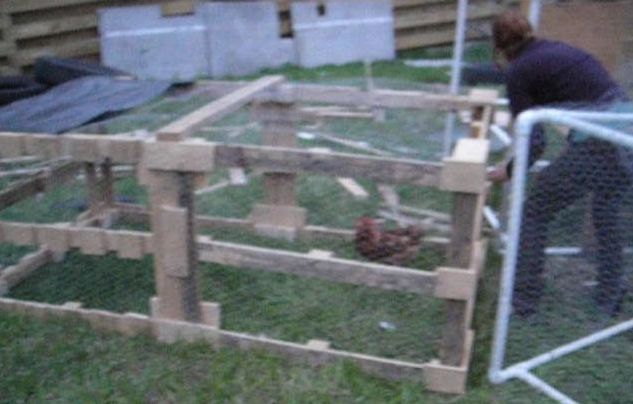 Turn Old Pallets Into a Chicken Tractor!