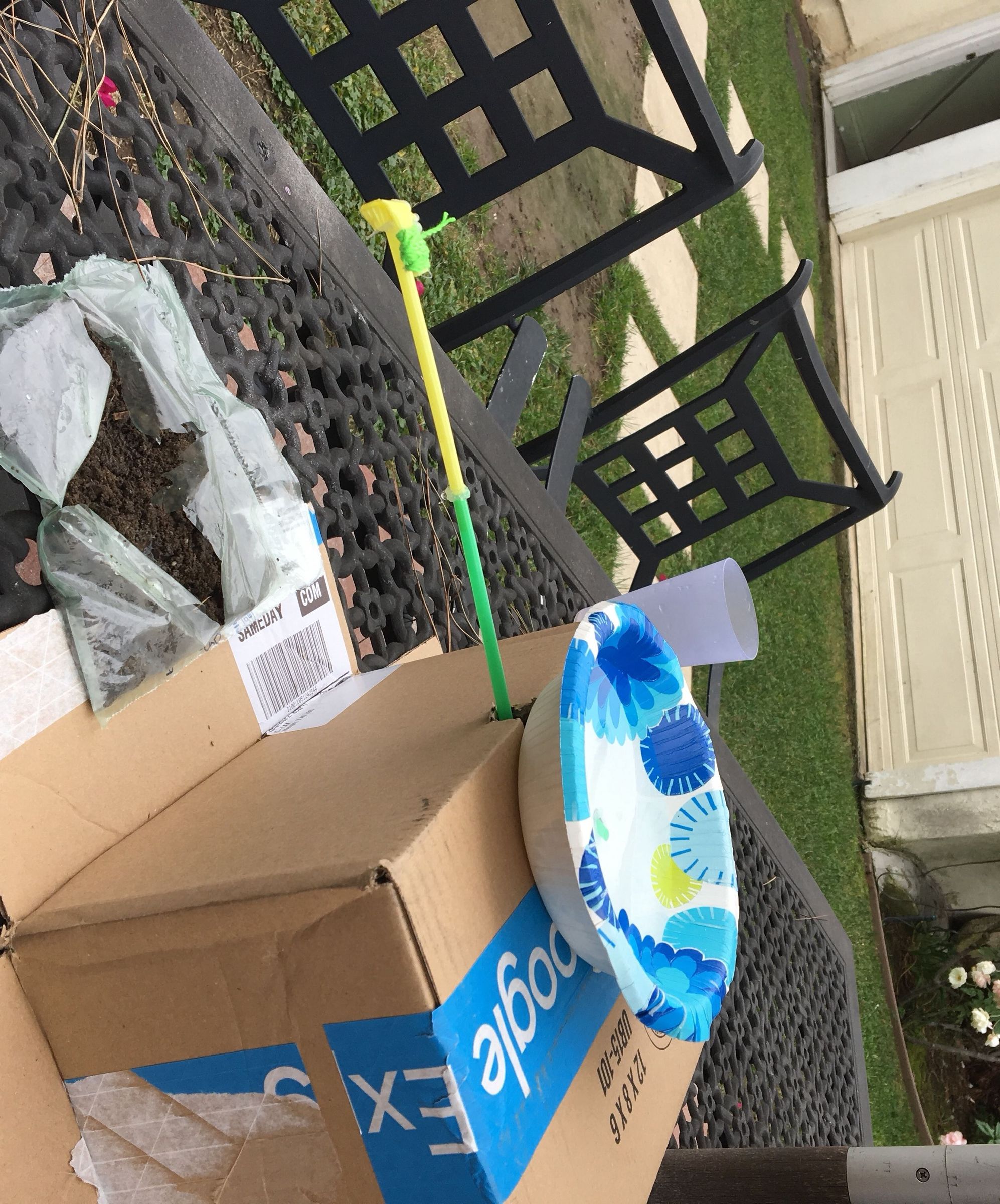 Grow a Plant in a Plastic Bag With a Drip Irrigation Systems 