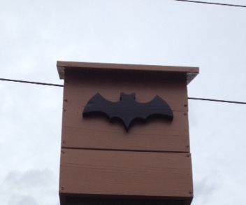 Bat House
