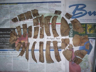 Turtley Awesome Dig-Site Discovery