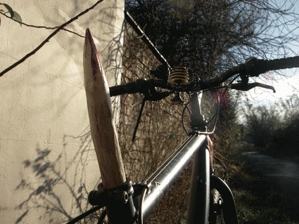 Bike Spike-  Theft Deterrent.