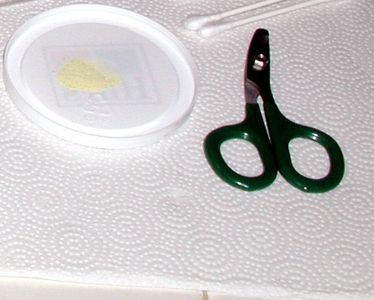 Get Your Cutting Tools Ready!