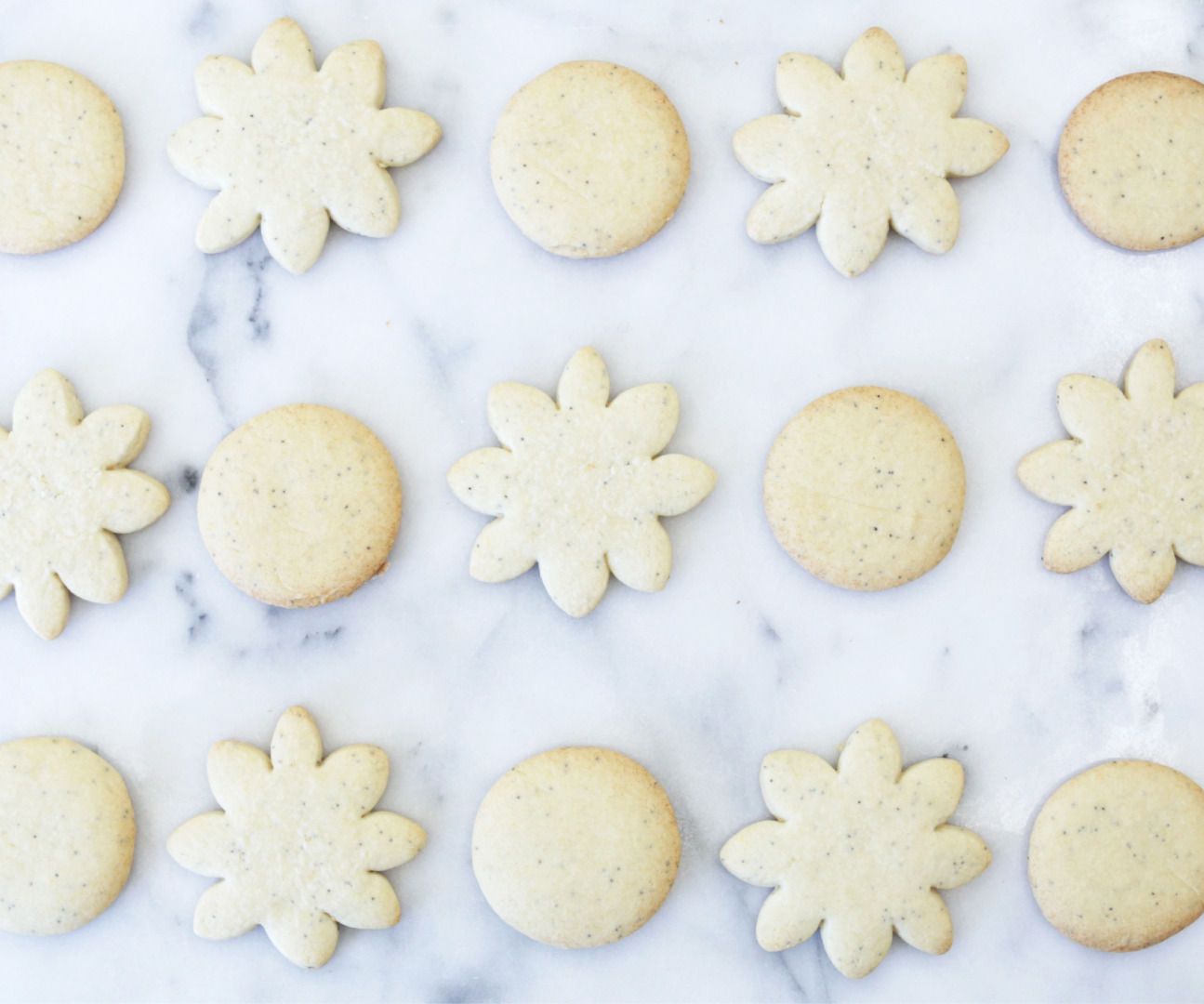 Lemon Poppy Seed Cookies