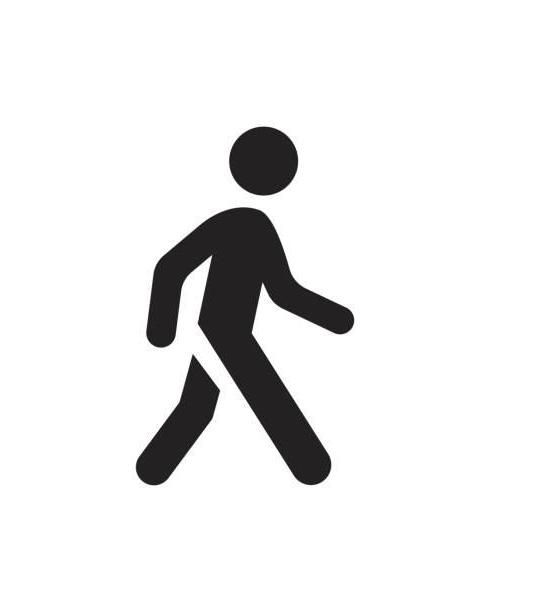 Lower Limb Exoskeleton