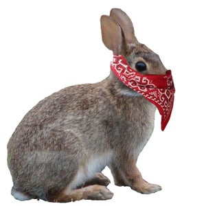 Comprehensive Multi Color Stencils With Variable Output