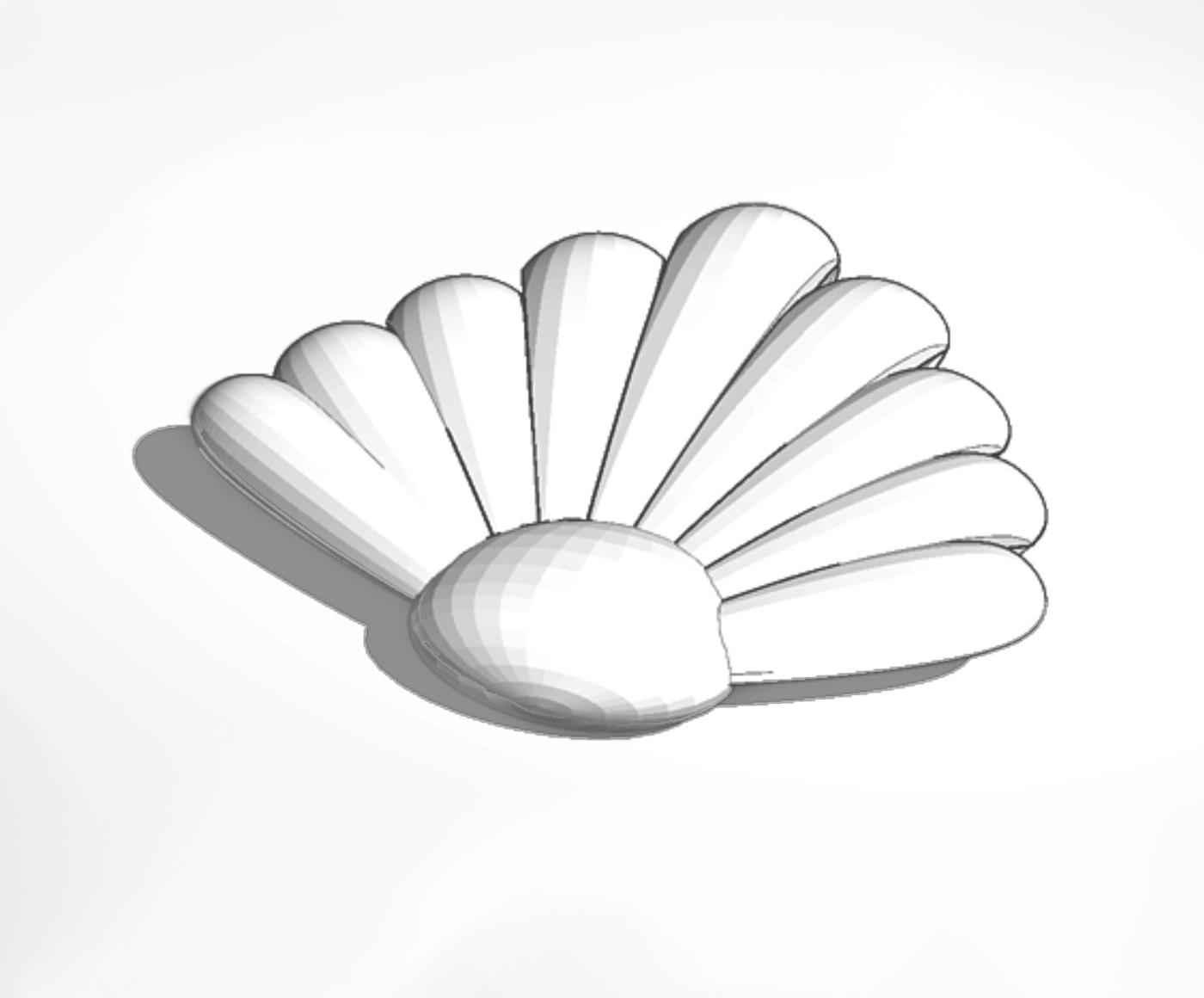 Collection Cover Image: How to Create a Clam Shell