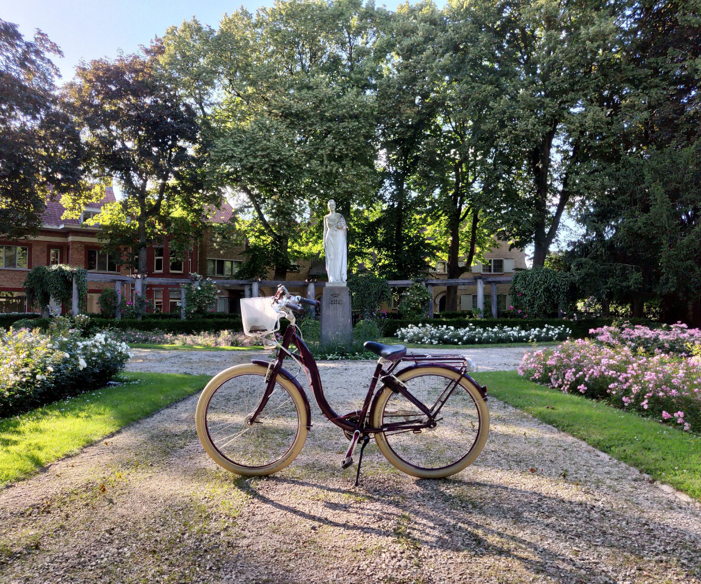 Pike - Drive Safer, Drive Smarter, Drive a Pike!