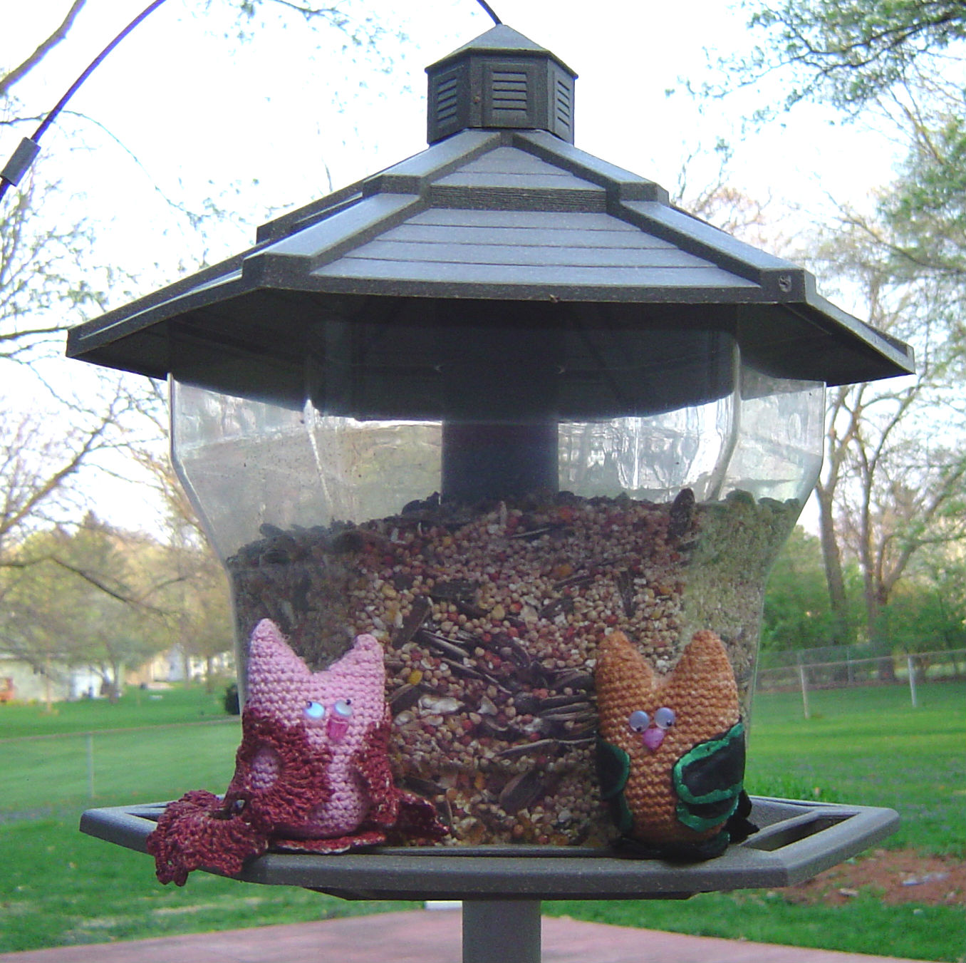 The Owls, Leather and Lace