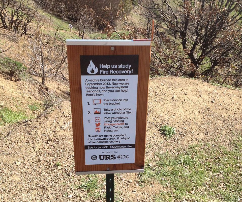 Crowd-sourced Time Lapse Photography