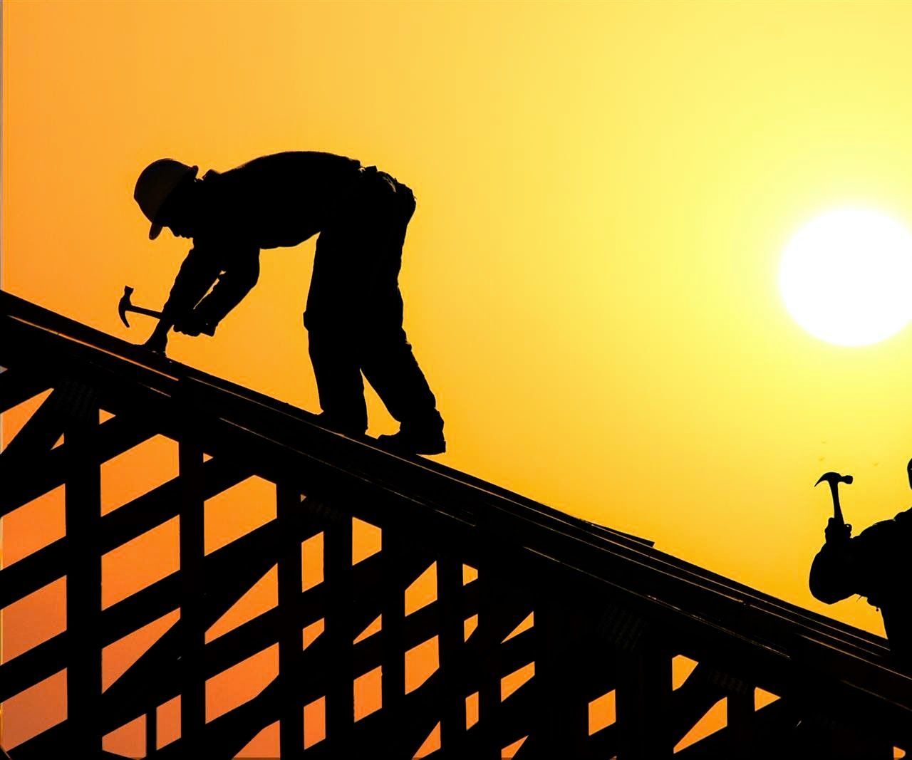 Understanding the Importance of Professional Roofing 