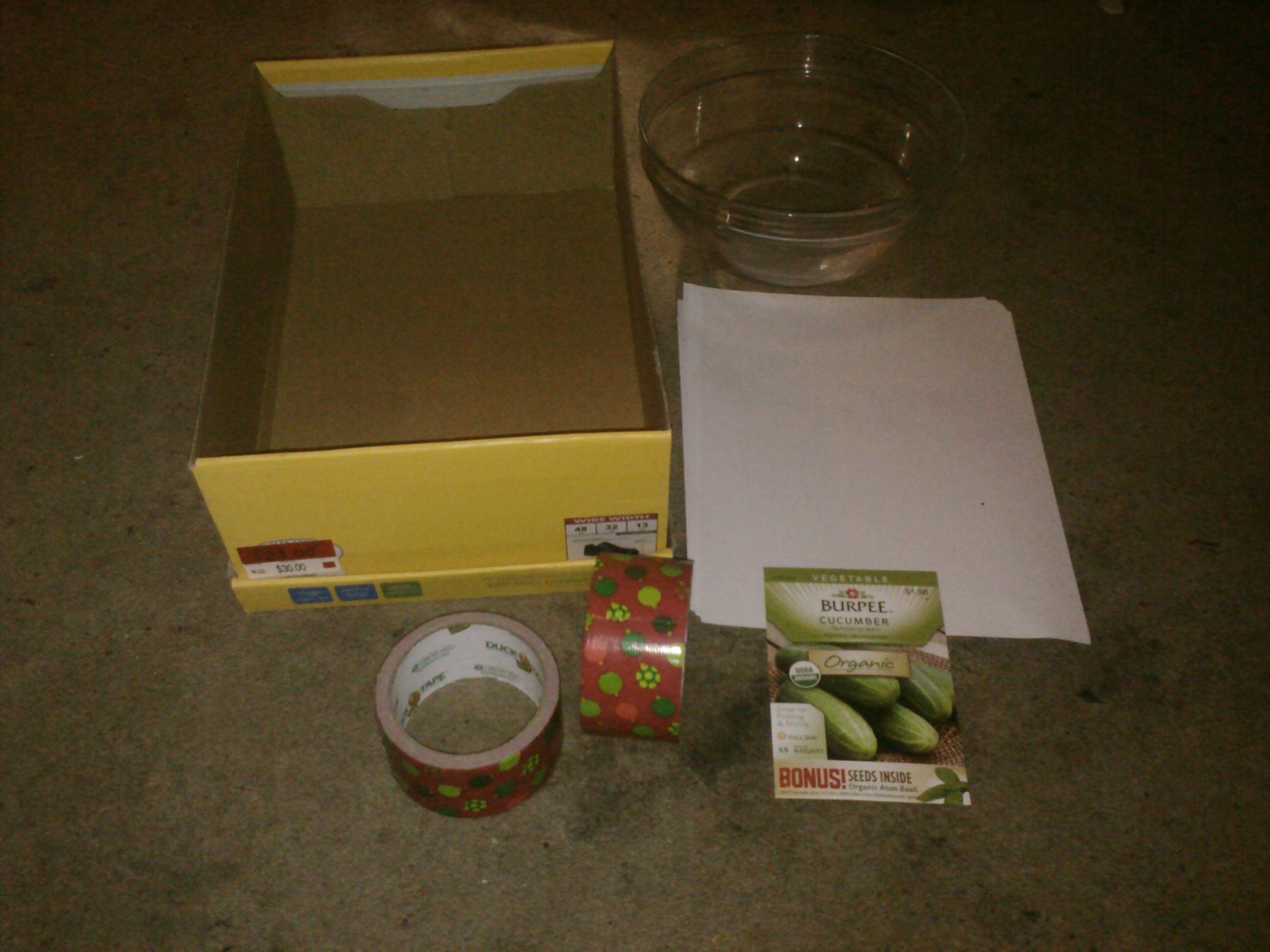 Recycled Box Seed Starter