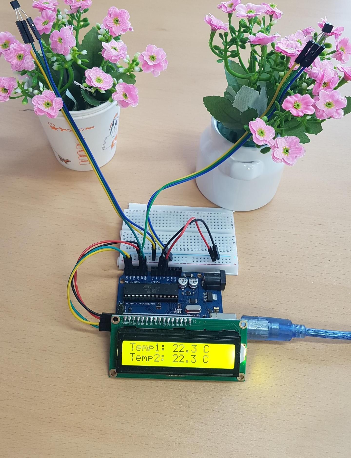 Two Tmp36 (Green House Effect LAB)