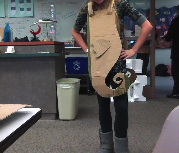 Silly Seahorse Costume