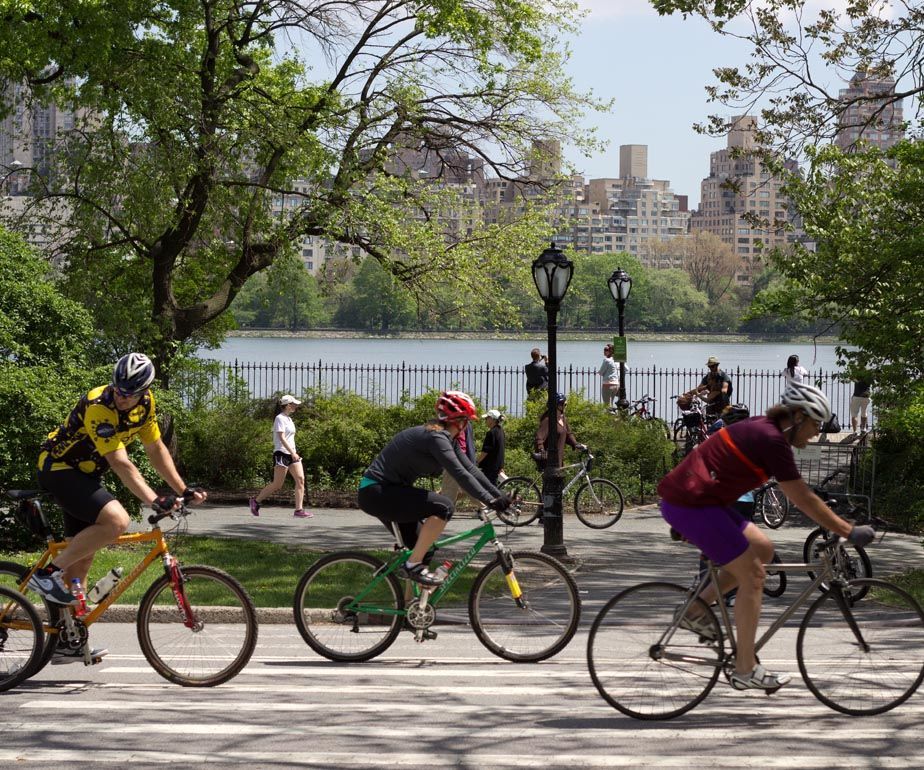 Magnificence Through of Bike Tours Which Are Wholesome.