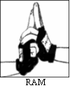 Summoning Jutsu Hand Signs : 7 Steps - Instructables