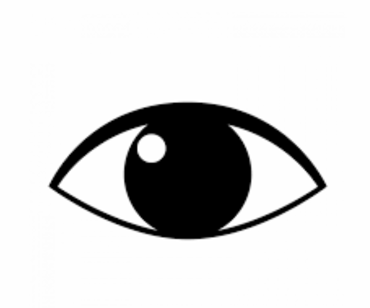 How Many Times Do We Blink in Our Lifespans?