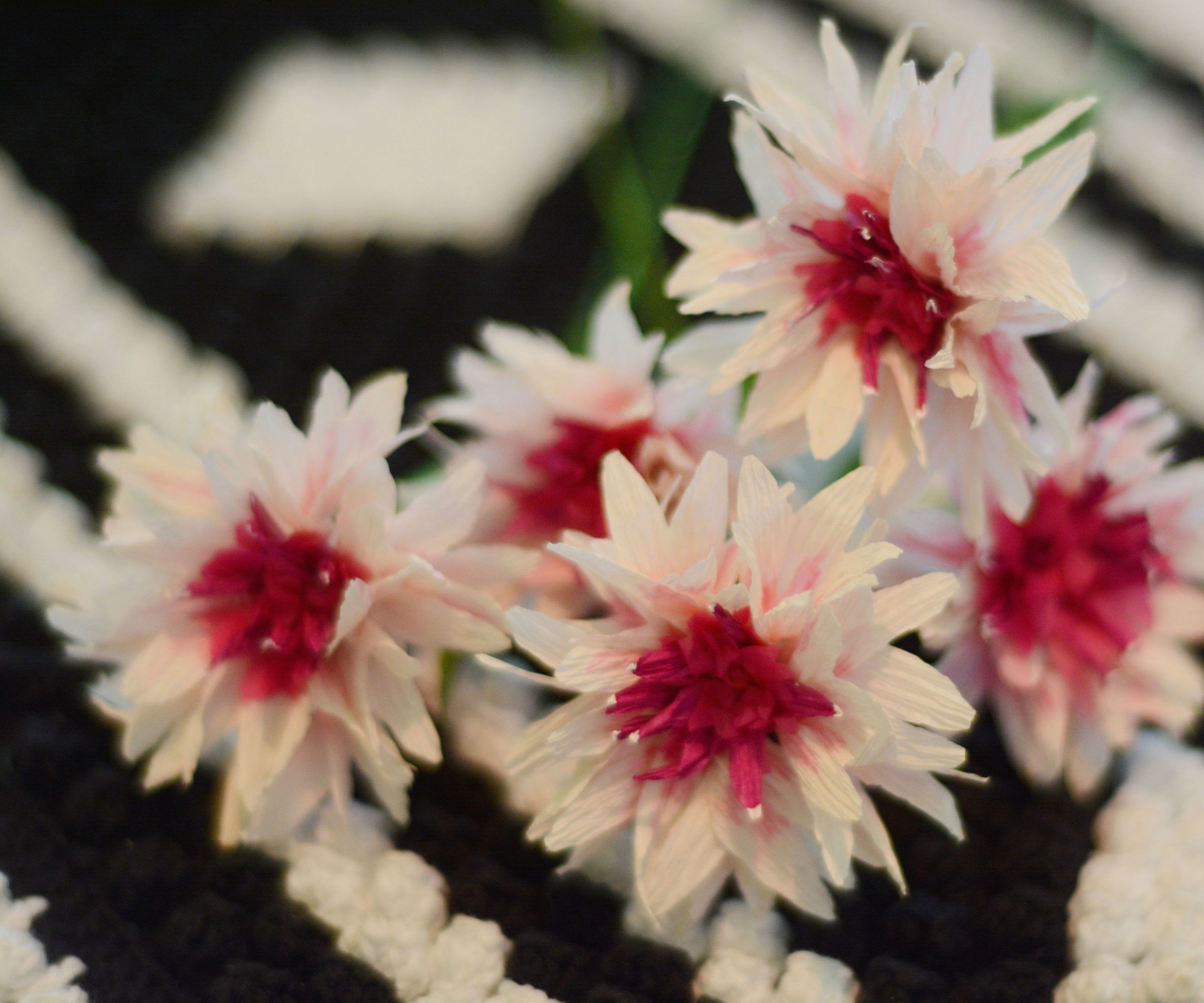DIY Paper Flowers Bouquet for Valentine's Day