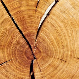 Choosing Greener Wood