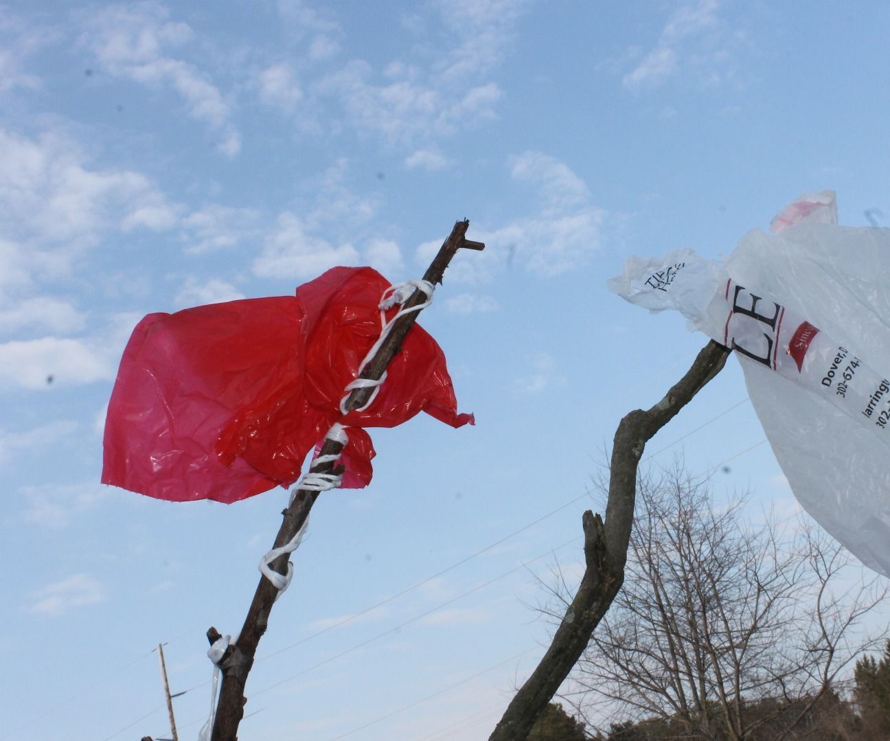 Capture the Flag