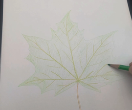 The Leaf