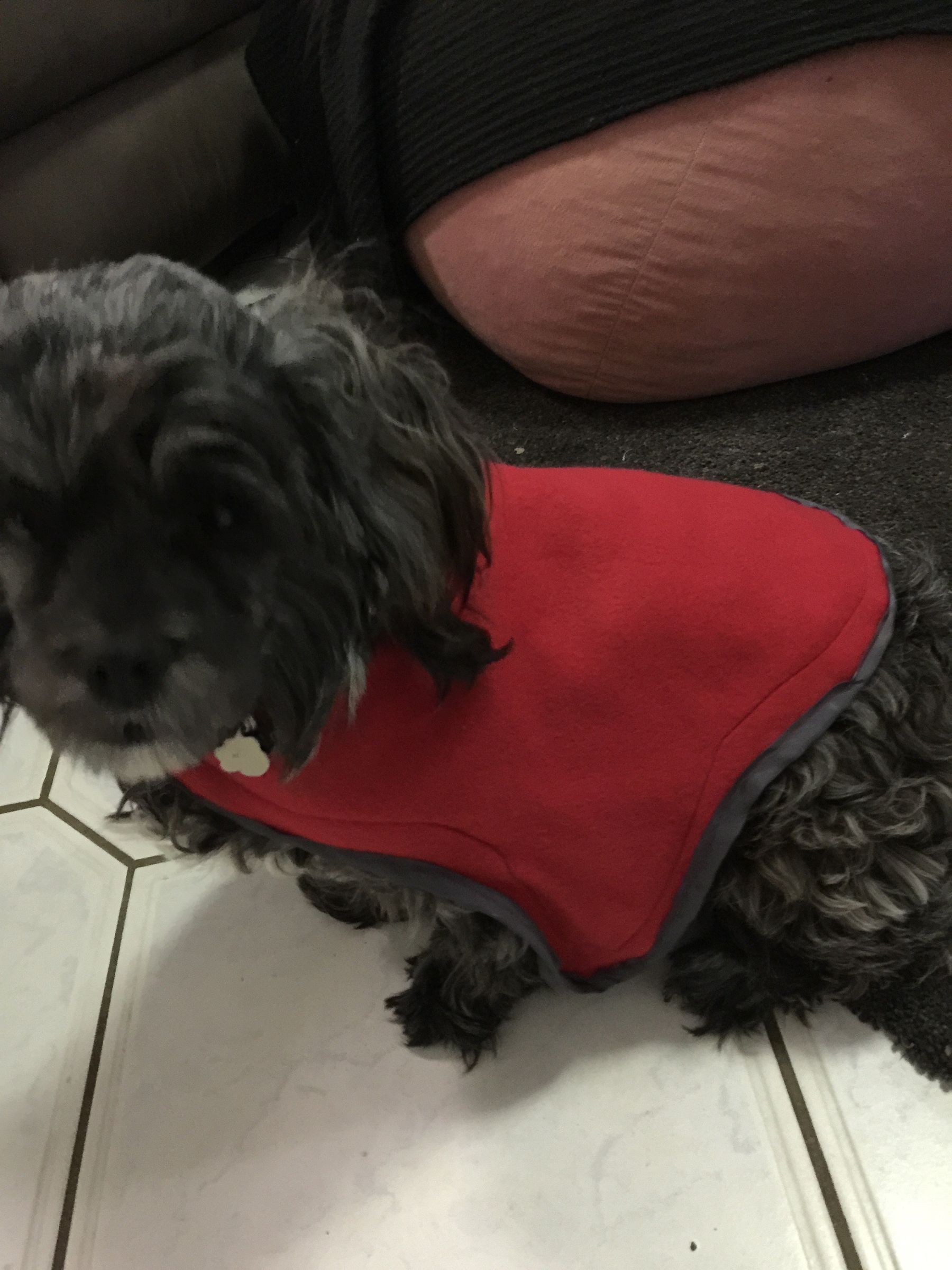 Small Dog Coat 9 Steps (with Pictures) Instructables