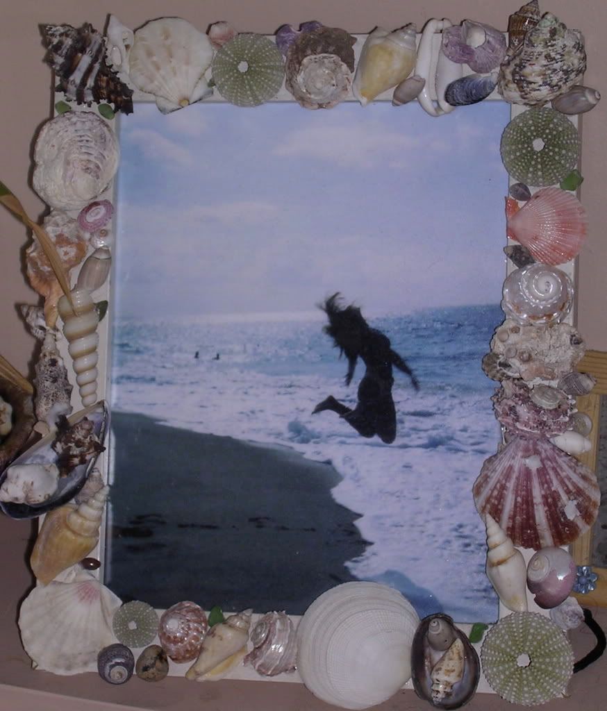 Sea Shell Picture Frame