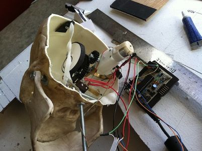 Interactive Arduino Skull : 7 Steps - Instructables