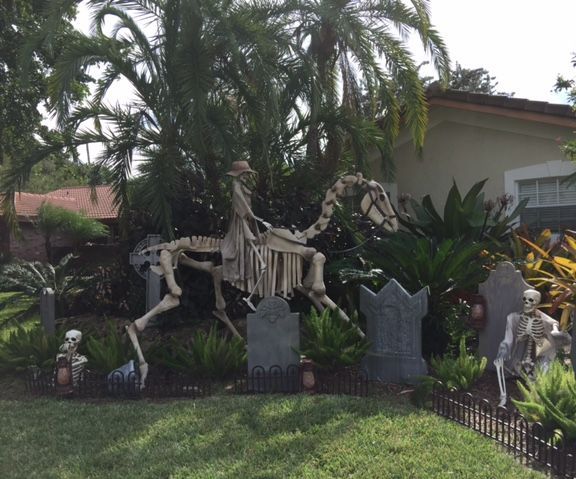 Skeleton Horse Halloween Display