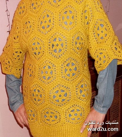 Crochet Blouse and a Hexagonal Units